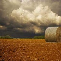 Agricultorii între secetă şi impozite