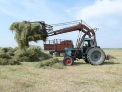 Молдова среди первых стран Европы по населению, занятому в сельском хозяйстве, и последняя – по занятости в сфере услуг